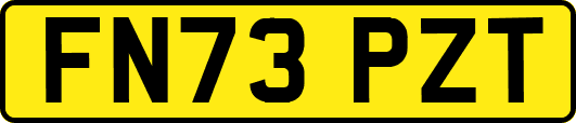 FN73PZT