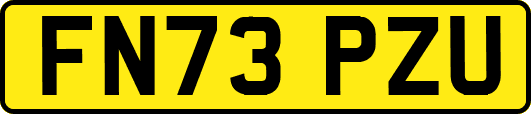 FN73PZU