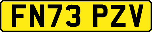 FN73PZV