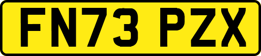FN73PZX