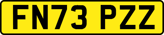 FN73PZZ