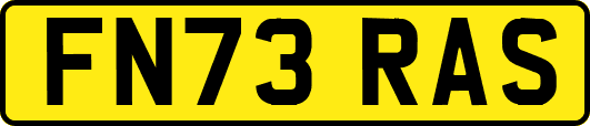 FN73RAS
