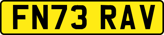 FN73RAV