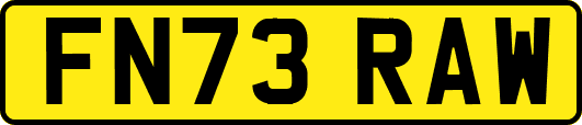 FN73RAW