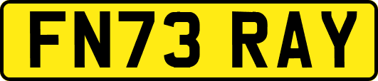 FN73RAY