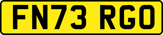 FN73RGO