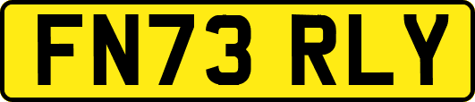 FN73RLY