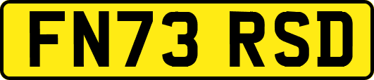 FN73RSD