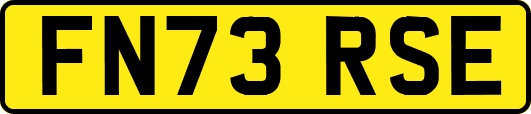 FN73RSE