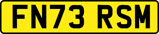 FN73RSM