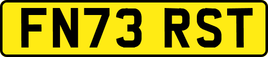 FN73RST