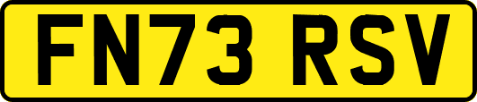 FN73RSV