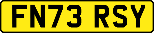 FN73RSY