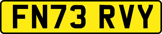 FN73RVY