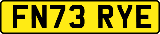 FN73RYE