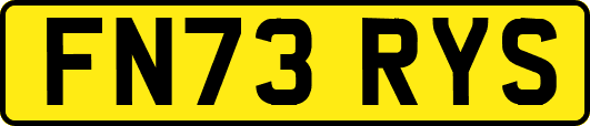 FN73RYS