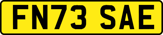 FN73SAE
