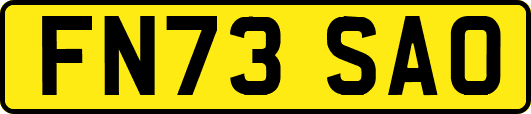 FN73SAO