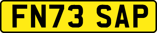 FN73SAP
