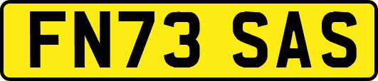 FN73SAS