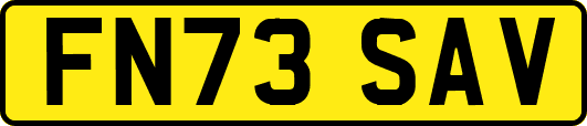 FN73SAV