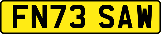 FN73SAW