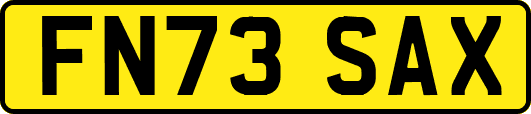 FN73SAX