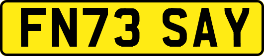 FN73SAY