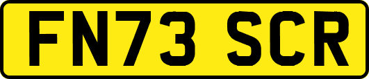 FN73SCR