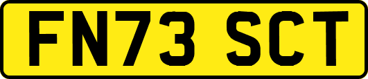 FN73SCT