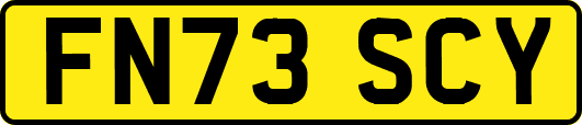 FN73SCY