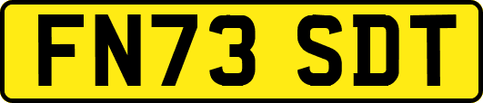 FN73SDT