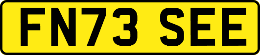 FN73SEE