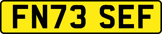 FN73SEF