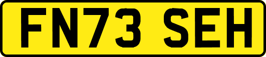 FN73SEH