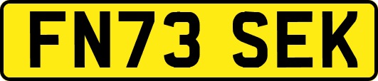 FN73SEK