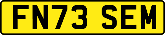 FN73SEM