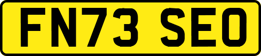 FN73SEO