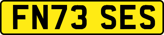 FN73SES