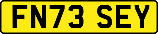 FN73SEY