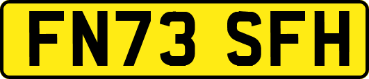FN73SFH