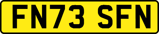 FN73SFN