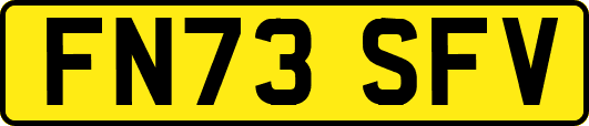 FN73SFV