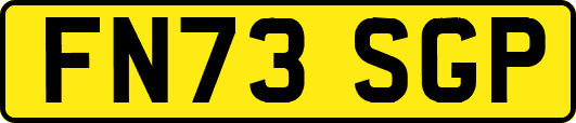 FN73SGP