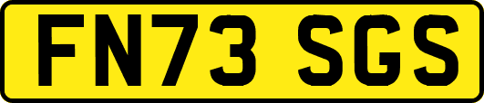 FN73SGS