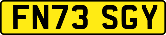 FN73SGY