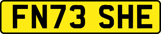 FN73SHE