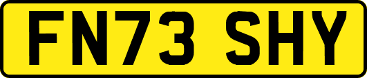 FN73SHY