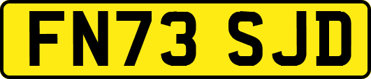 FN73SJD