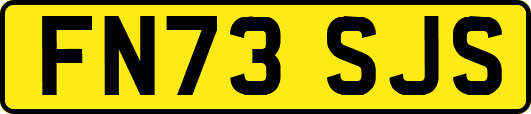 FN73SJS